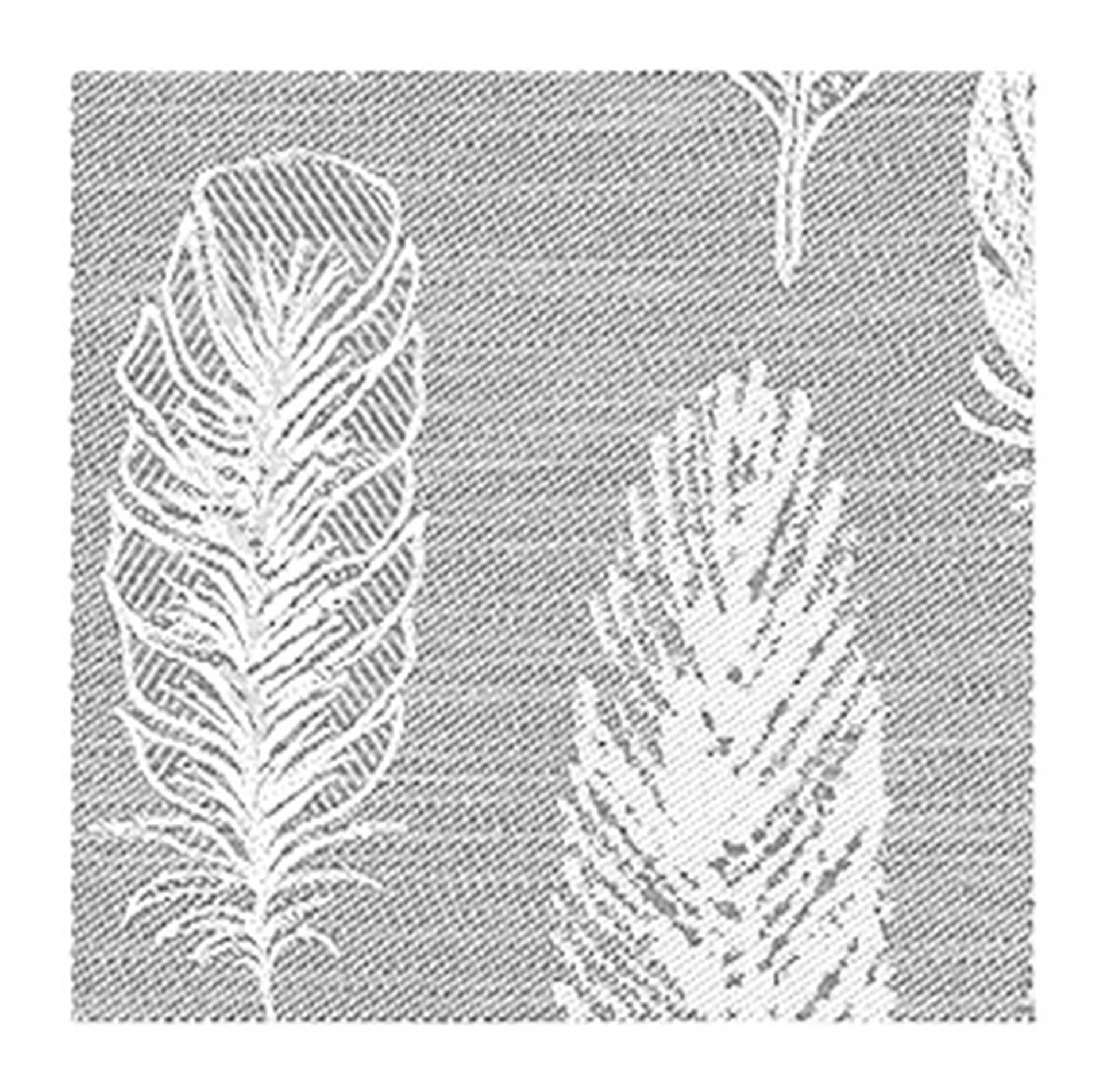 Übelhör Federblatt