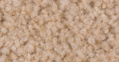 phpAm8cYC