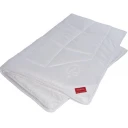 HEFEL Klimacontrol Comfort 4-Jahreszeitendecke