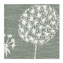 Gläsertuch Pusteblume, 48x70cm