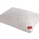 HEFEL Pure Silk Kissen