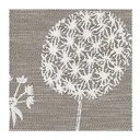 Tischset Pusteblume 44x35 cm