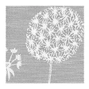 Tischset Pusteblume 44x35 cm