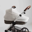 Kinderwagen2