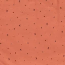 moon rost-DESIGN.webp