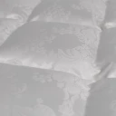 Eiderdaune - Detail