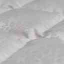 Eiderdaune - Detail