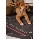 Foto mit dem Liebling