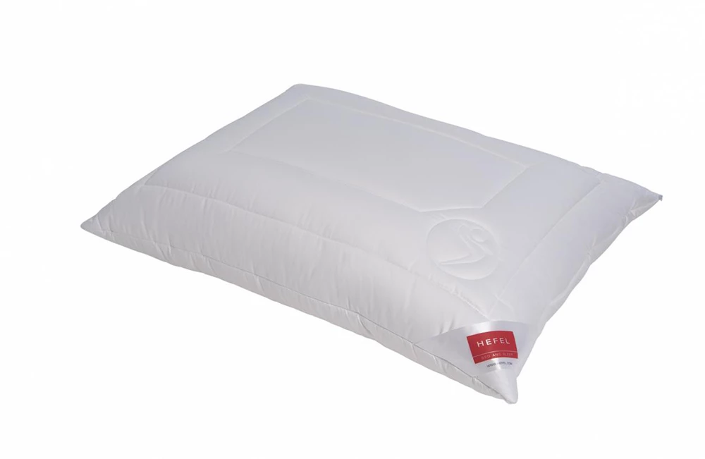 Wellness Allergic Vitasan Kissen